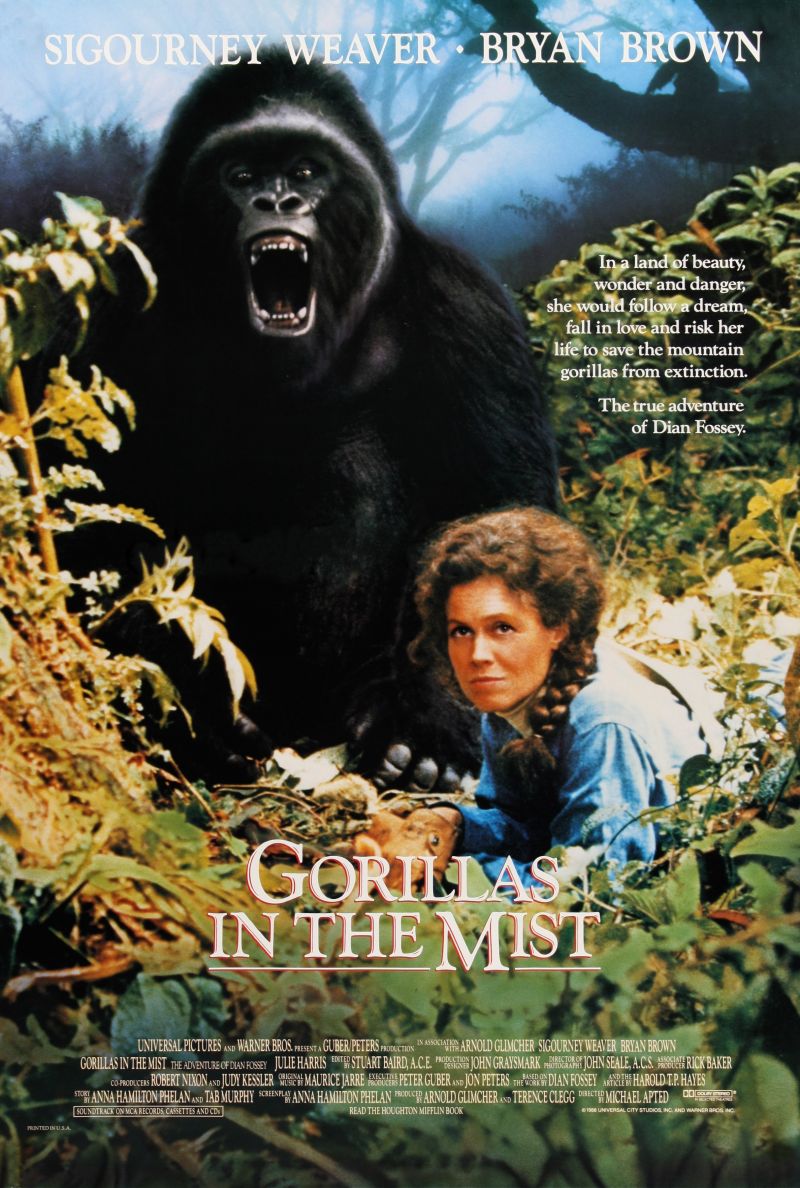 Gorillas In The Mist - The Story Of Dian Fossey