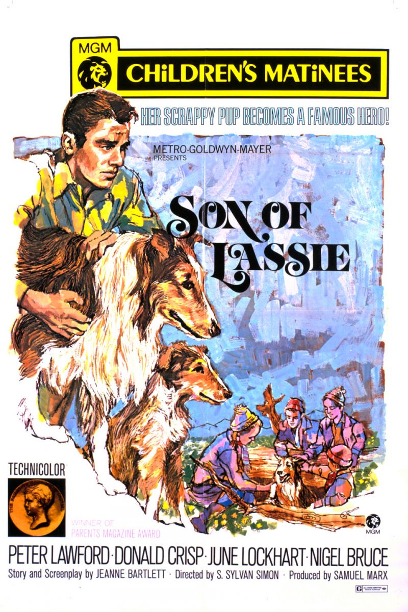 Son of Lassie