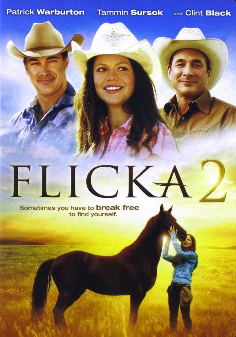 Flicka 2 - Friends Forever