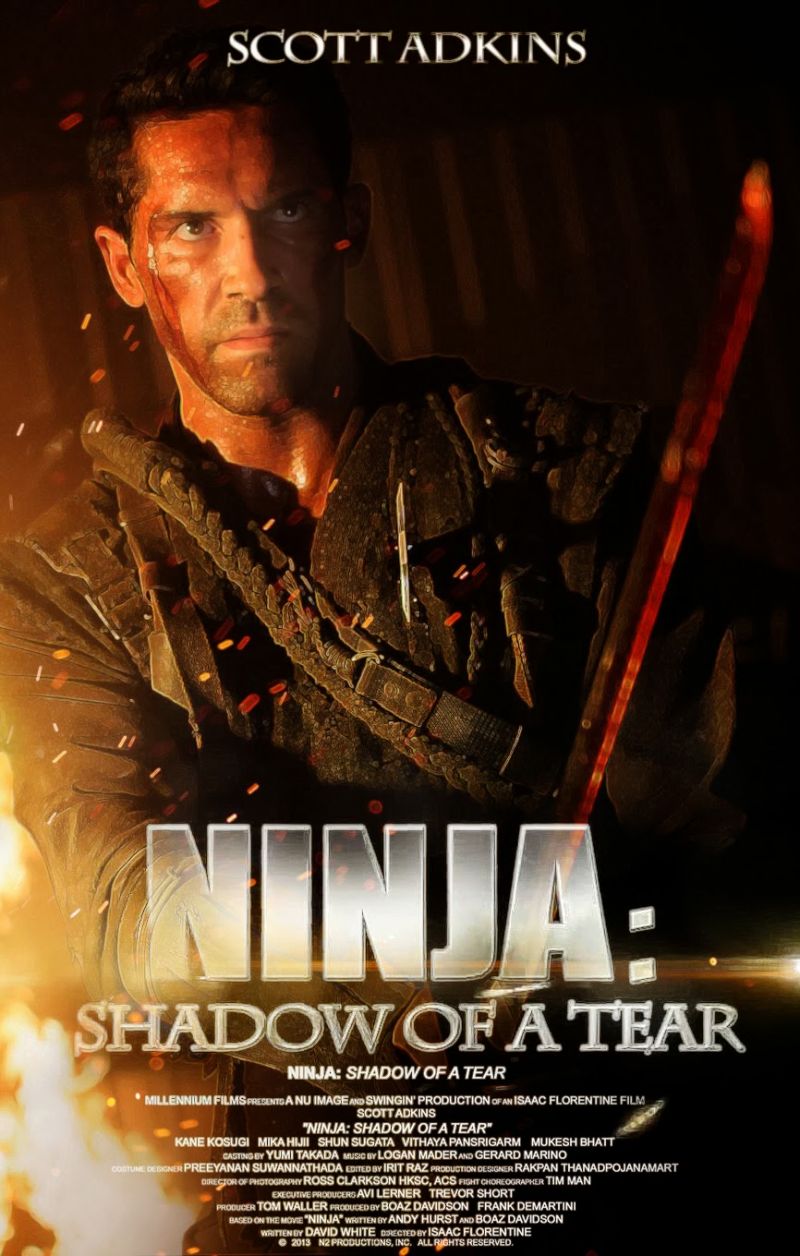 Ninja: Shadow of a Tear