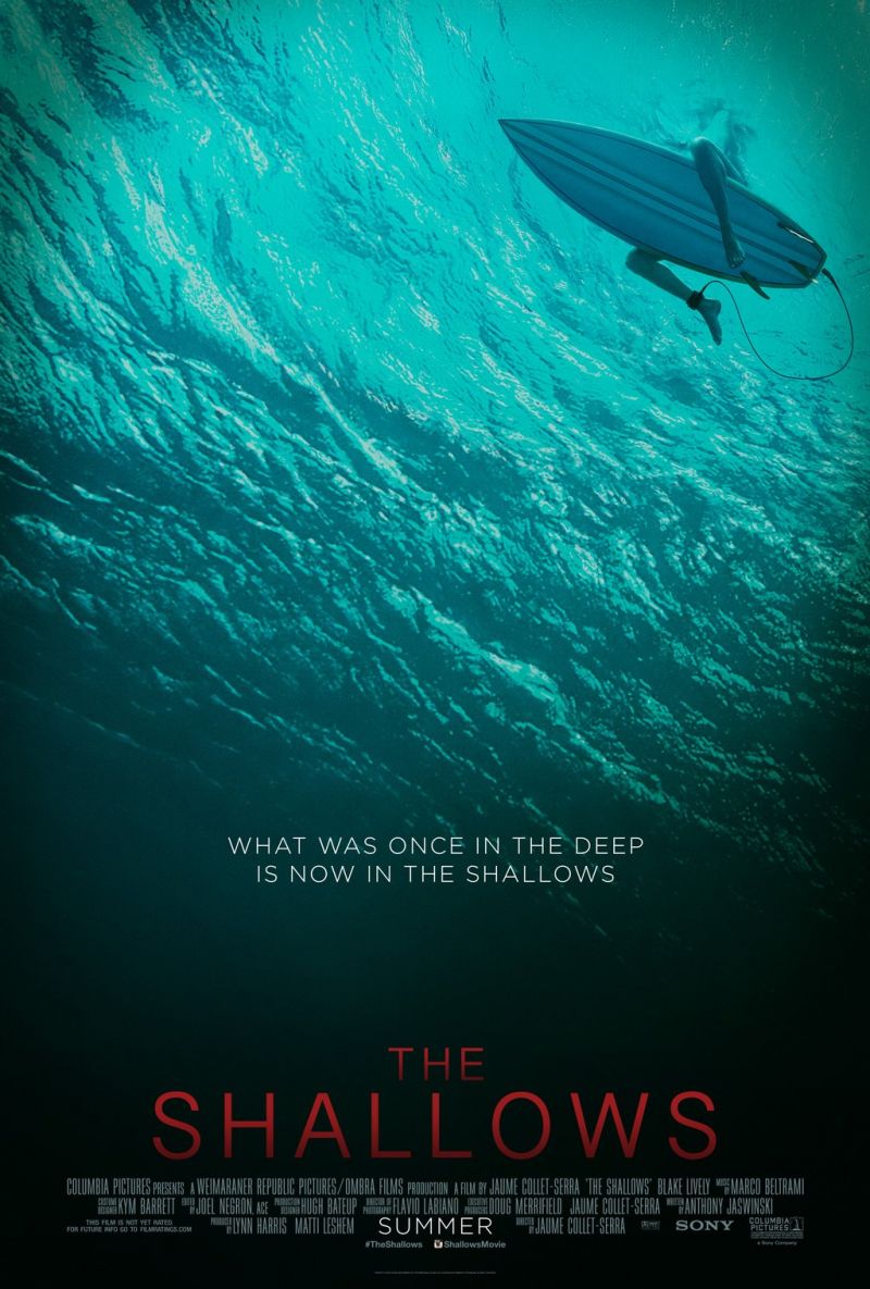 Shallows, the