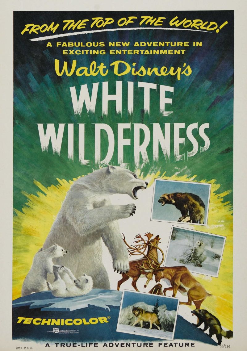 Witte Wildernis