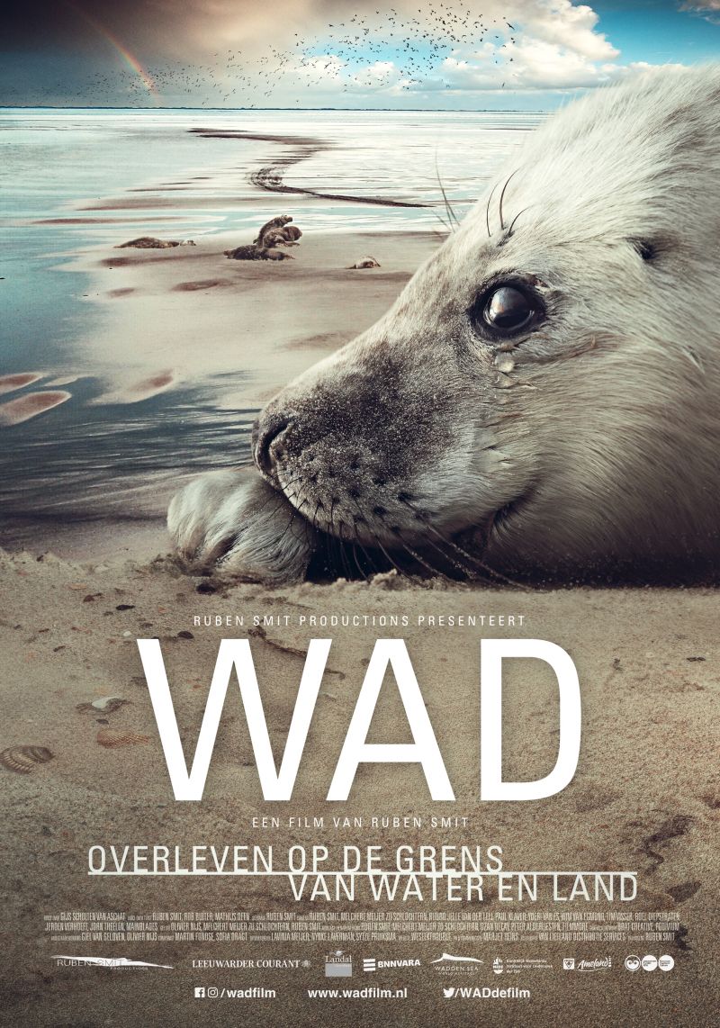 Wad: Overleven op de Grens van Water en Land