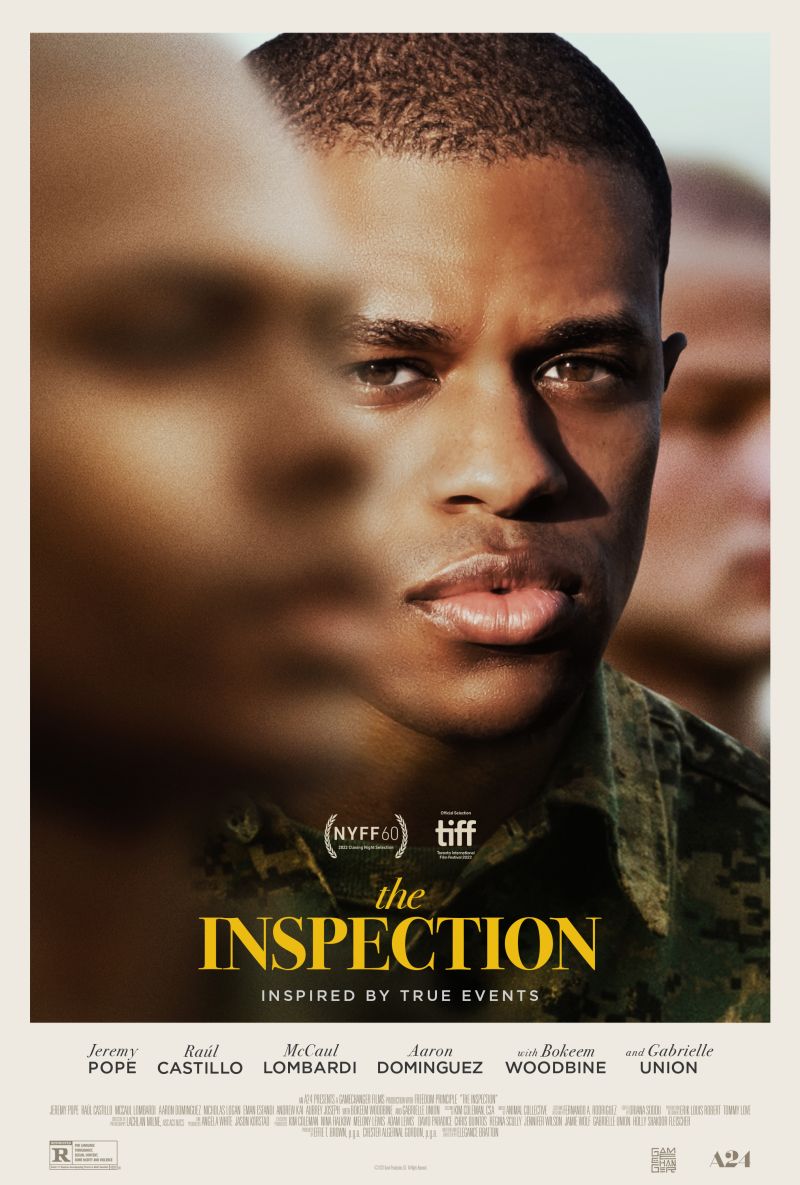 Inspection, The