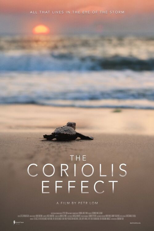 Coriolis Effect, The