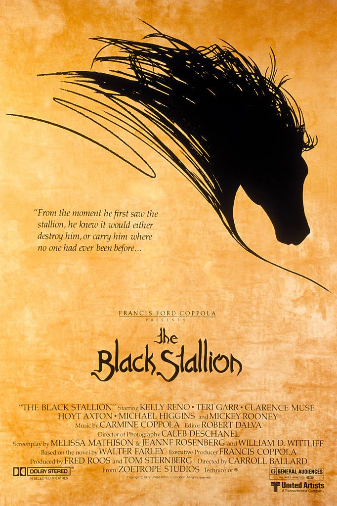 Black Stallion, The