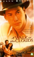 Walk In The Clouds, A